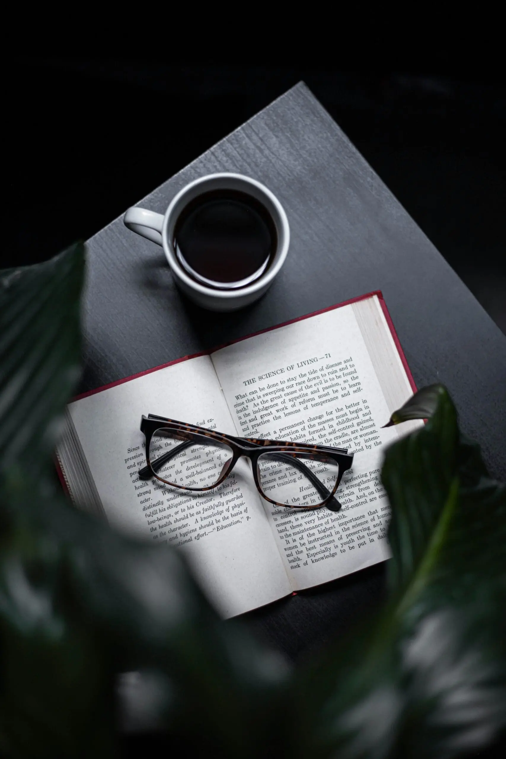Don’t Risk It! Know the Facts About Song Lyrics in Books  