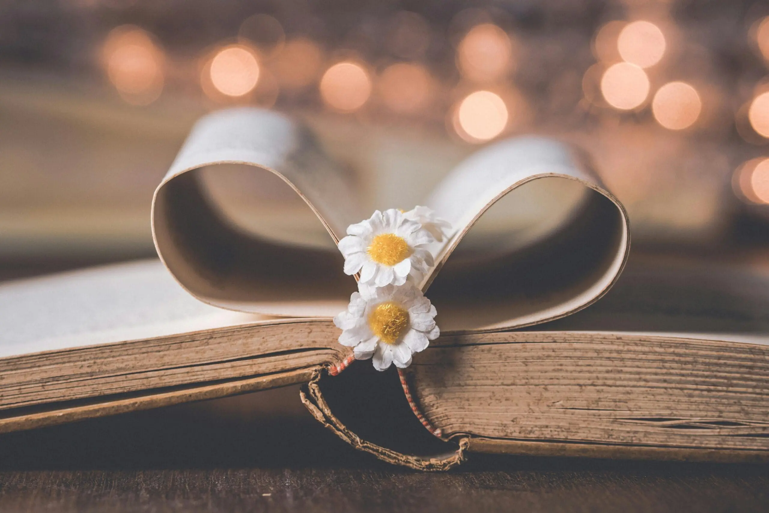 Create Pillar Posts: Your Guide to Book Category Dominance
