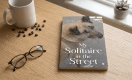 My Solitaire in the Street