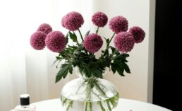 Magic Awaits: The Temptation of Otherworldly Treasures