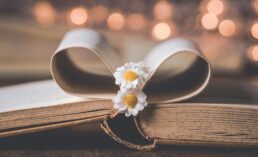 Create Pillar Posts: Your Guide to Book Category Dominance