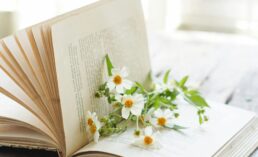 Essential Tips to Set Up Your Amazon Author Central Account
